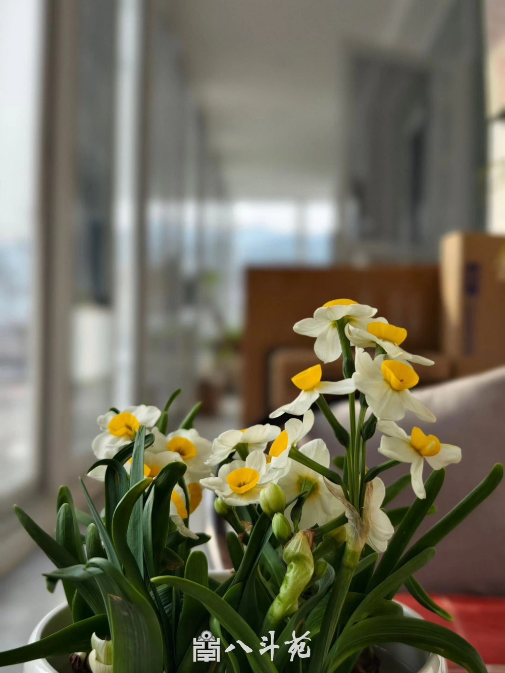 品读经典｜国画创作常用诗词100首之《乡村四月》原文与解析