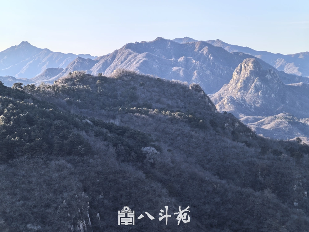 名家书画定制收藏｜员工办公区简约国画，舒缓压力激发活力插图1