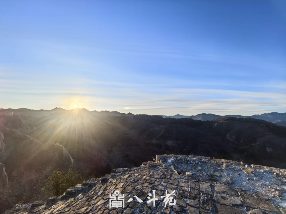 沉香文玩拍卖避坑，人工沉香与天然沉香区分要点插图1