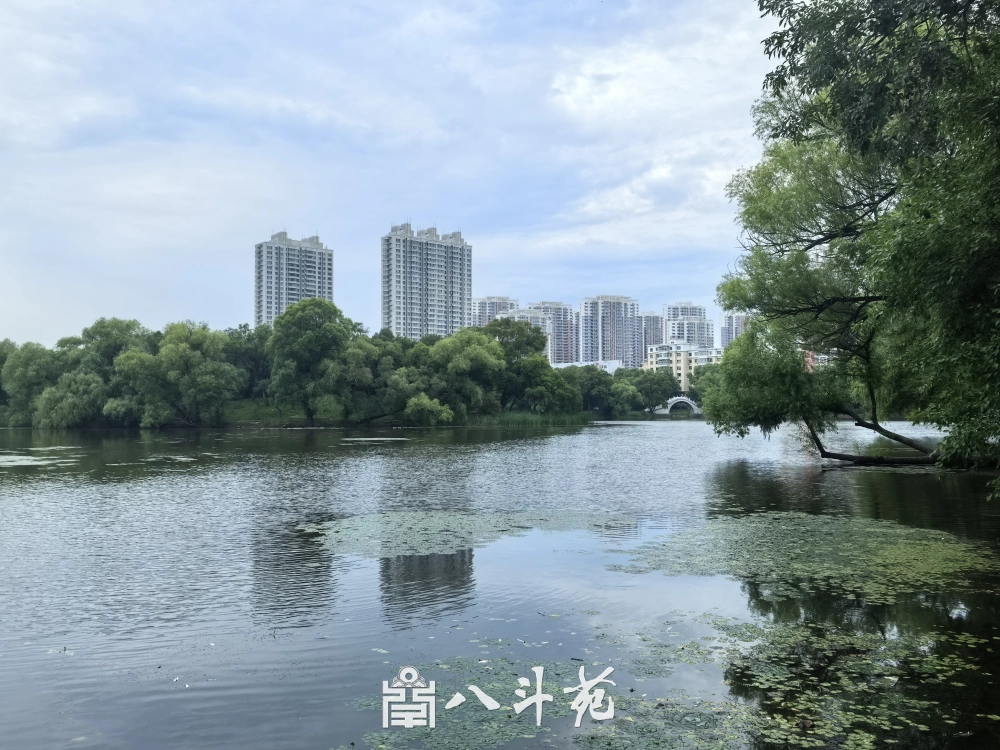 品读经典｜国画创作常用诗词100首之《饮湖上初晴后雨》原文与解析插图1