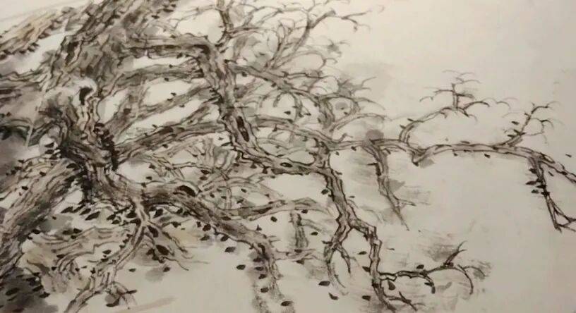 203c35e96fc6441e8a27336e5aeec2ad