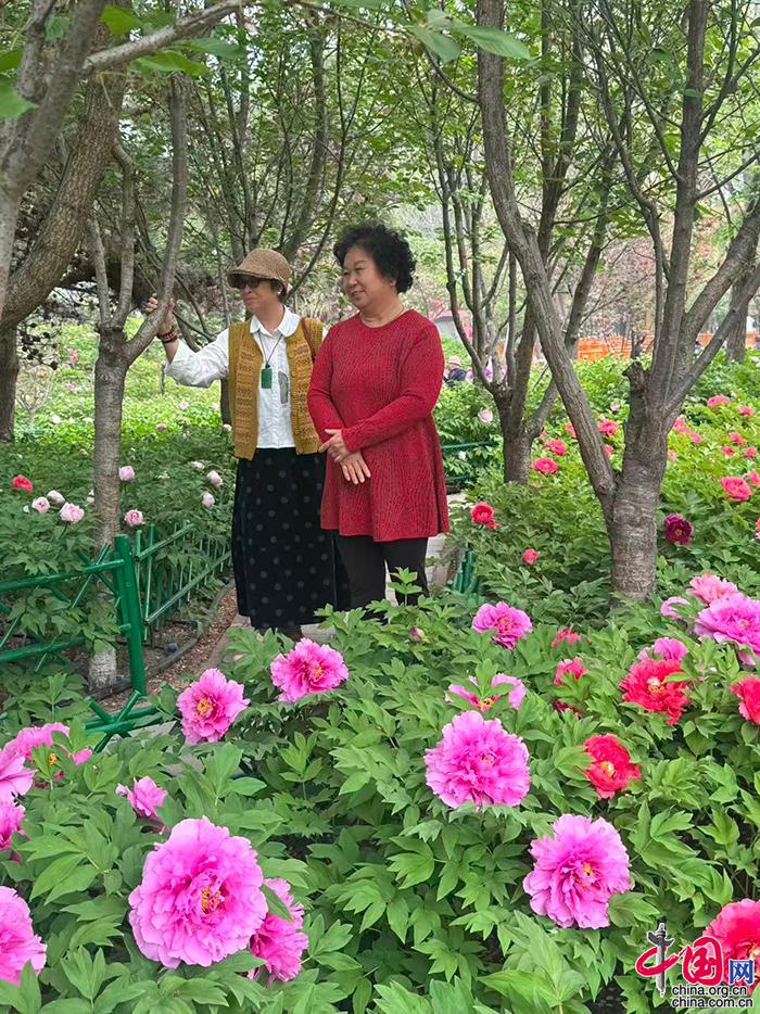 357bb8f3-5610-4158-8da8-50b152cc8746_batchwm_batchwm