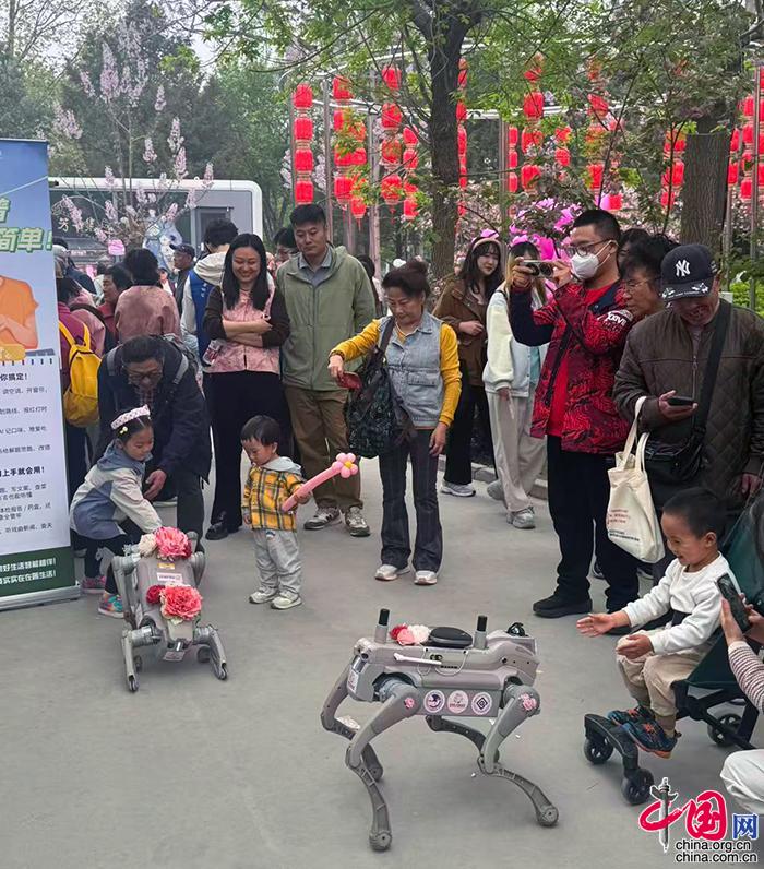 80bd9c97-6d4b-44a1-898f-50d50d064cb2_batchwm_batchwm