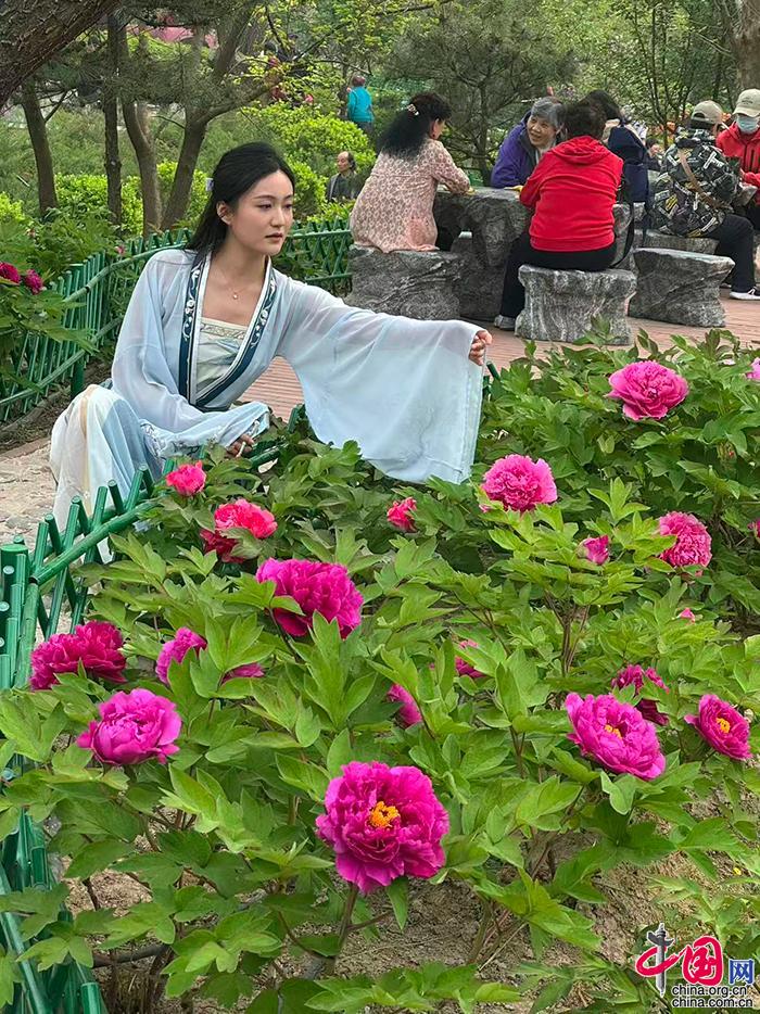 ce239aa7-b8b1-4a63-b9b6-8e7e0c65b210_batchwm_batchwm