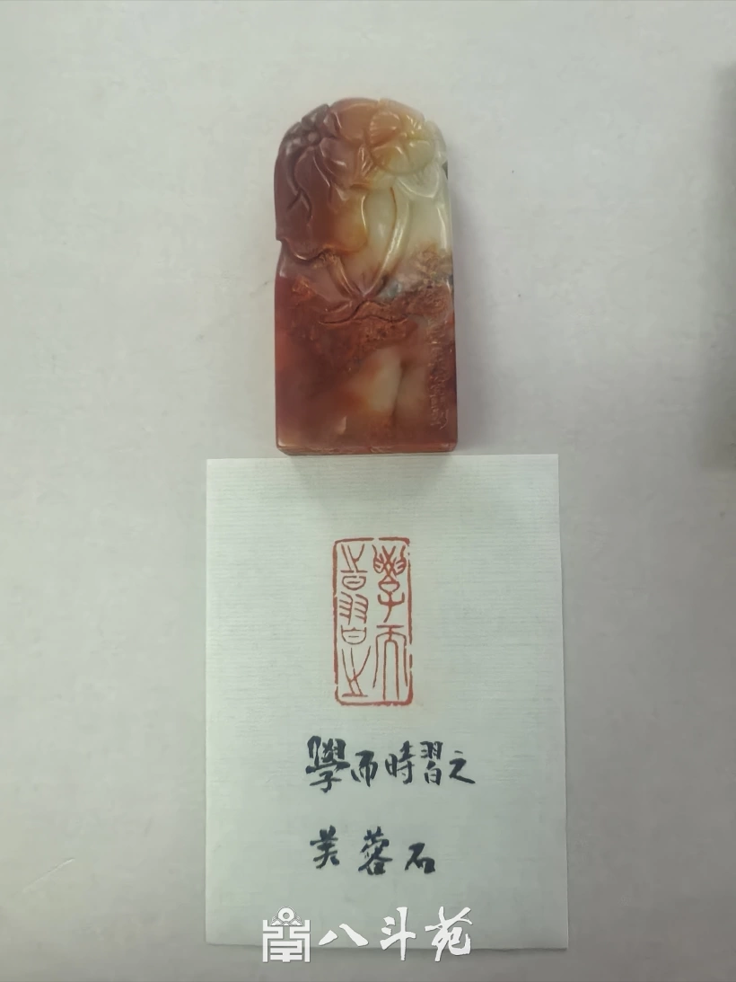 “金石可镂”刻春秋-篆刻名家聂元鑫作品欣赏插图11