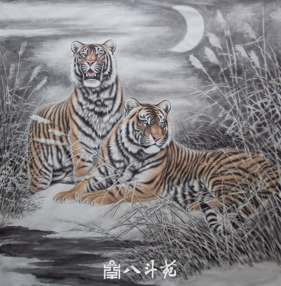 朱绍城工笔动物画系列欣赏之老虎-作品定制收藏插图18