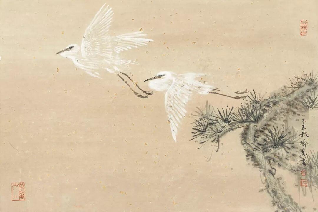 20260501-53