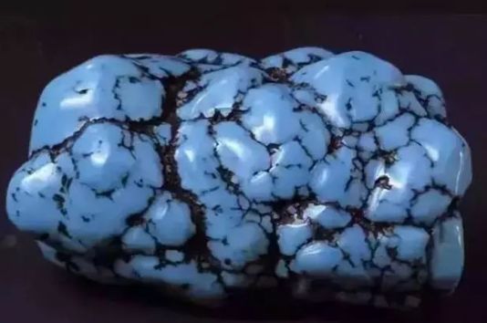 20260811-2