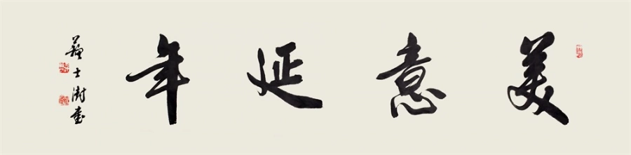 苏士澍书法作品(行书)定制结缘【美意延年】插图1 苏士澍行书《美意延年》