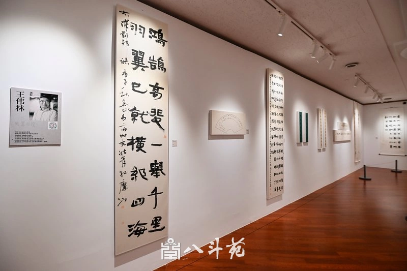金秋时节，“风华正茂·还岁墨缘”全国书法名家十一人展盛大开幕插图6