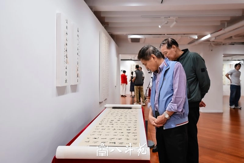 金秋时节，“风华正茂·还岁墨缘”全国书法名家十一人展盛大开幕插图12