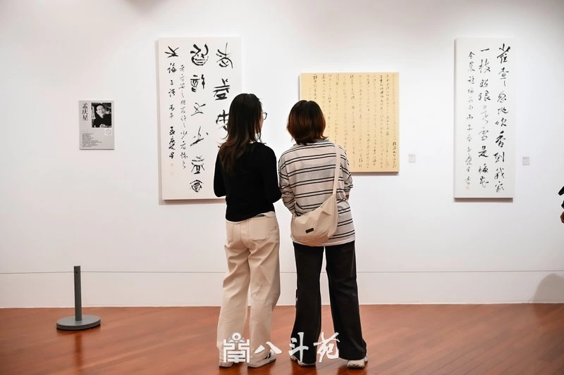 金秋时节,第四届“风华正茂·还岁墨缘”全国书法名家十一人展拉开帷幕插图14 金秋时节,第四届“风华正茂·还岁墨缘”全国书法名家十一人展拉开帷幕插图14