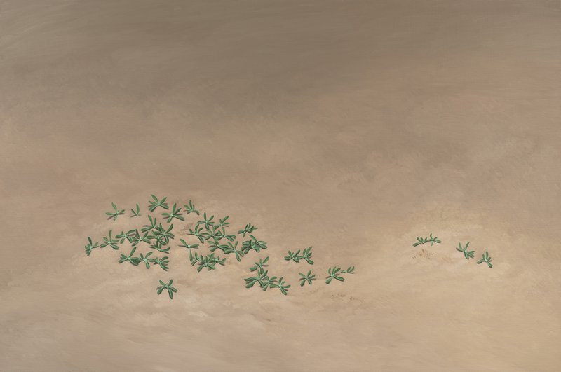 20261014-14 20261014-14
